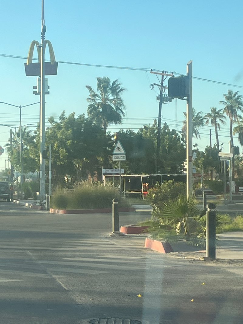 walking near me in Parque Morelos in winter