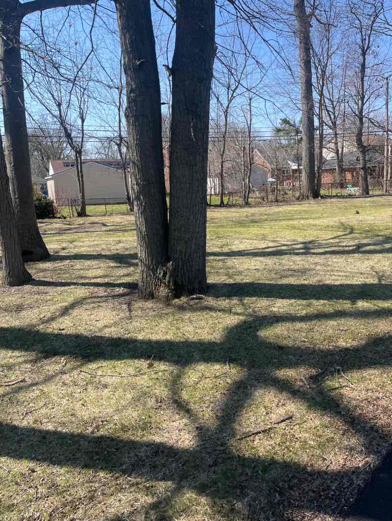 walking near me in Ghesquiere Park in spring