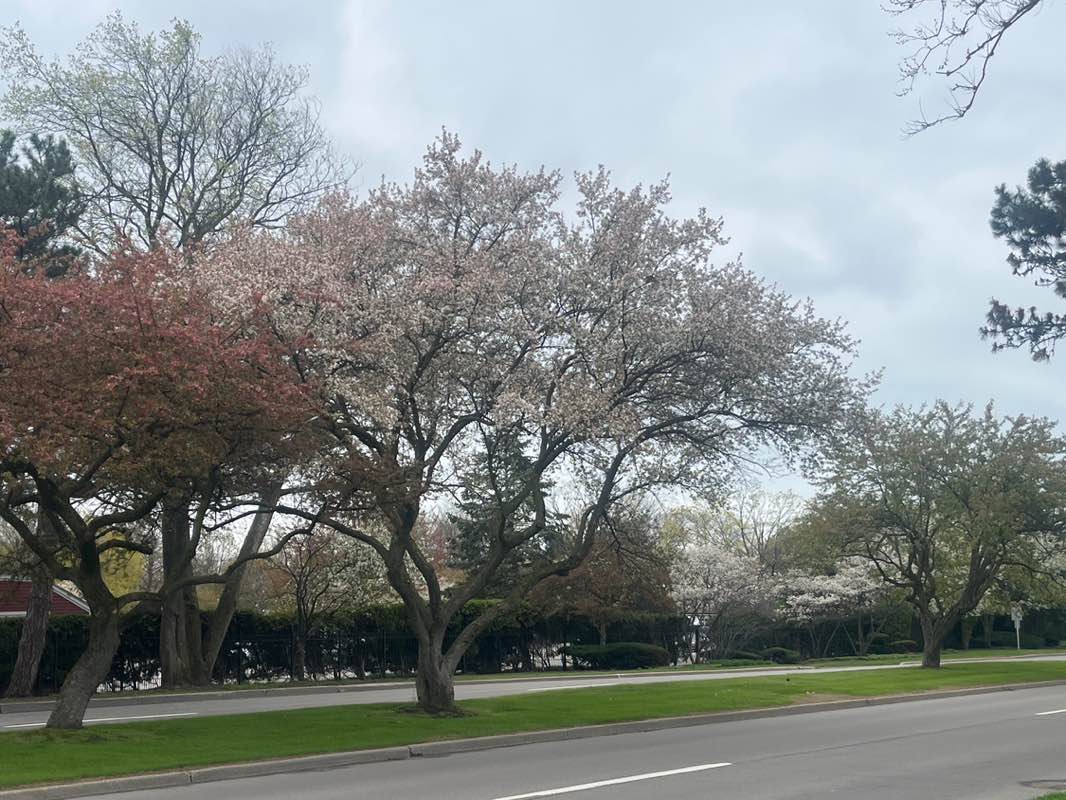 walking near me in Pier Park in spring