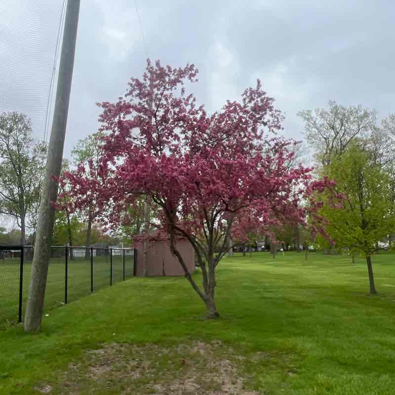 V post 1