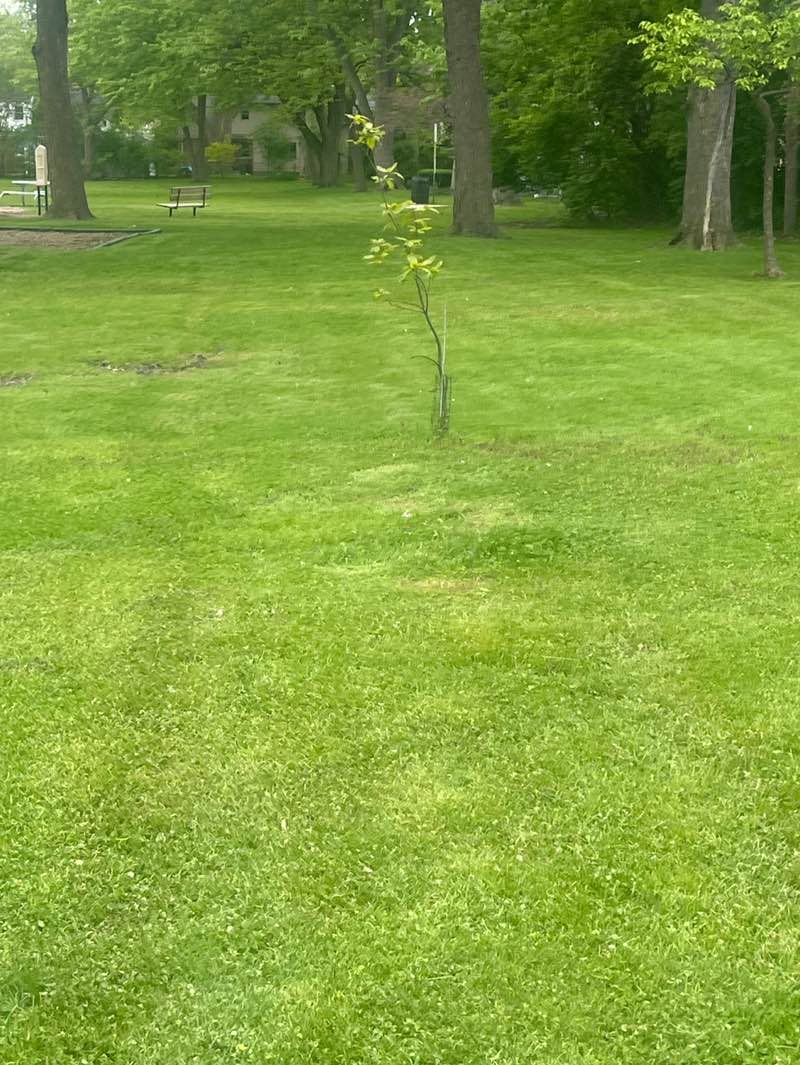 walking near me in Sweeney Park in spring
