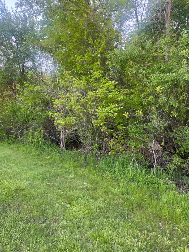 walking near me in Northville West Recreation Area in spring