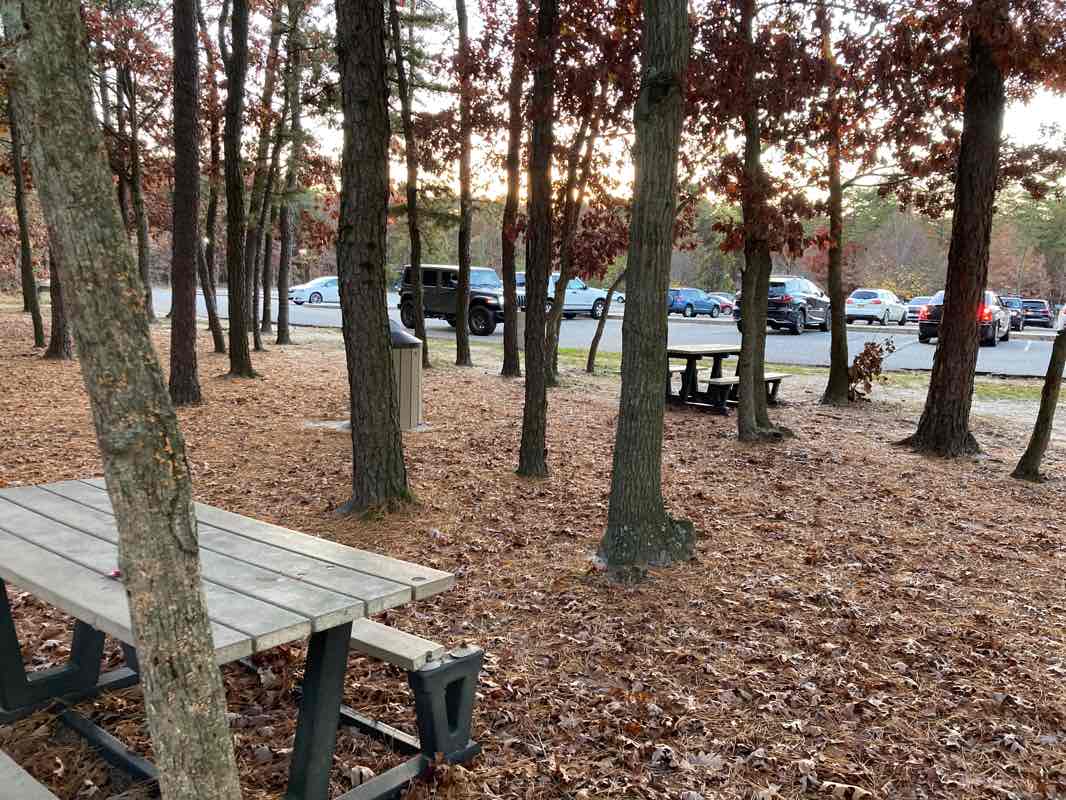walking near me in Diamond in the Pines Park in winter