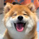 拦色妖🐔切尔犀