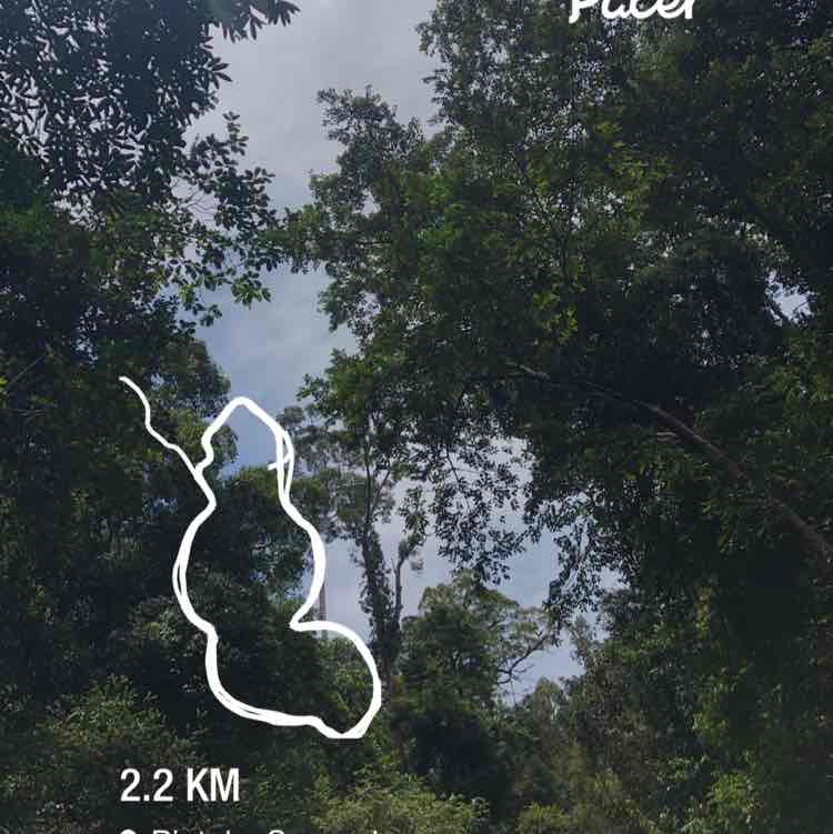 Endun Vyrantinie post 1