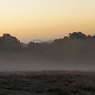 malcolm.green post 3