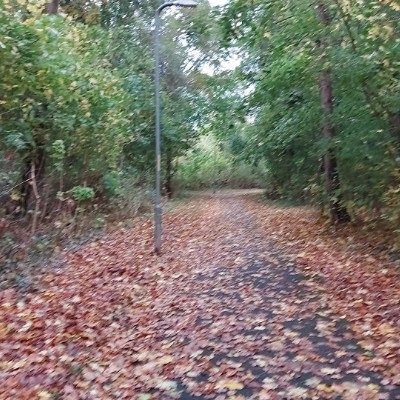 malcolm.green post 2