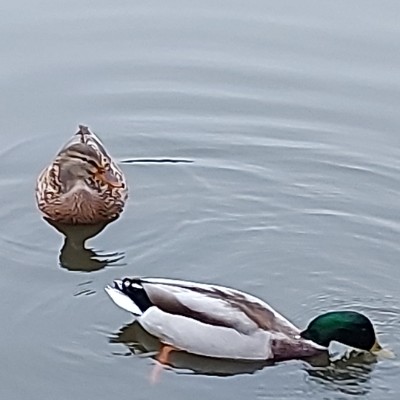 malcolm.green post 1