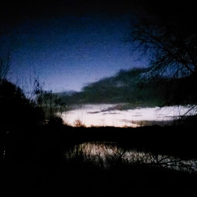 malcolm.green post 3