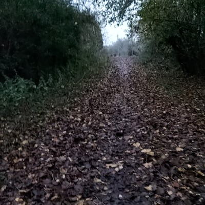 malcolm.green post 1