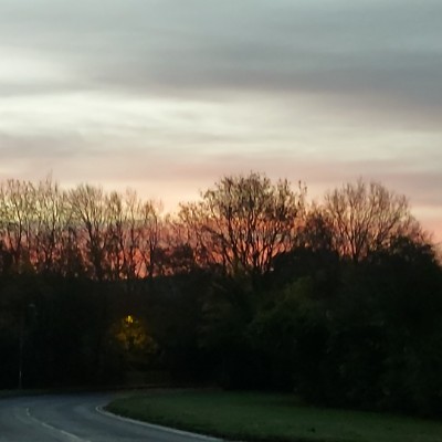 malcolm.green post 1