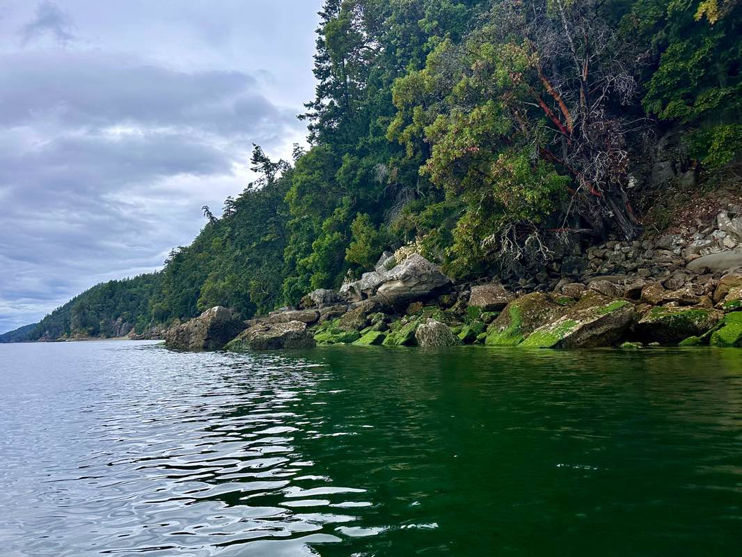 walking near me in Montague Harbour Marine Provincial Park in winter