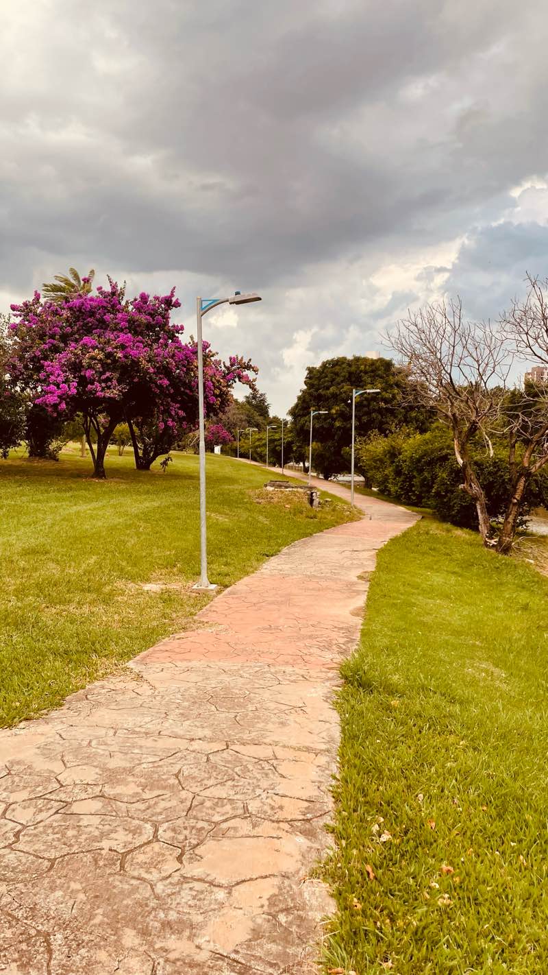 walking near me in Chafariz in summer