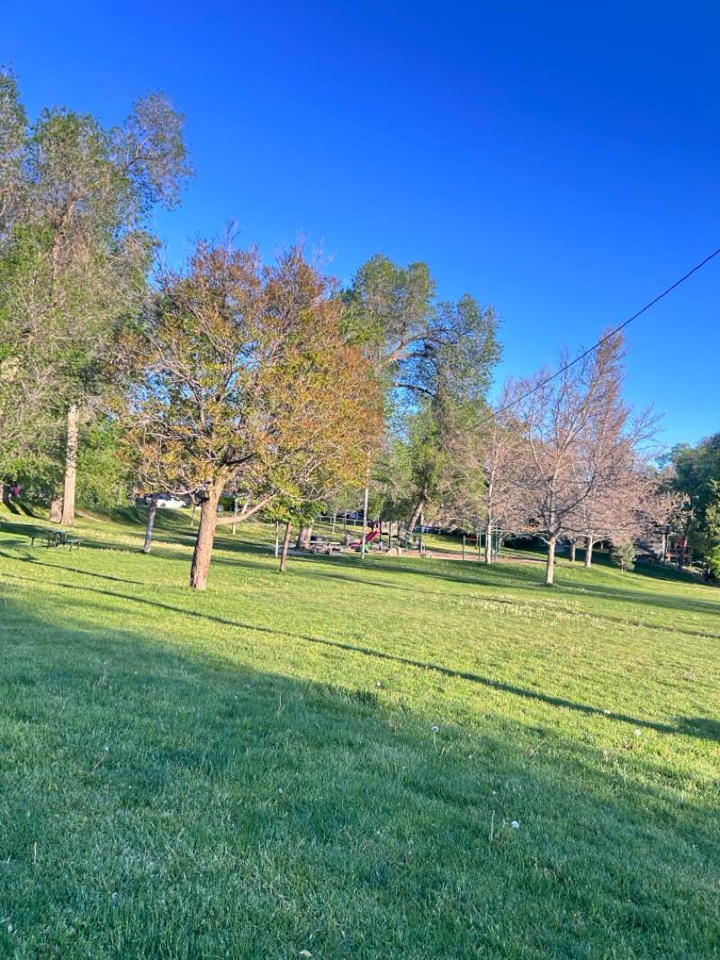 walking near me in Reservoir Park in spring