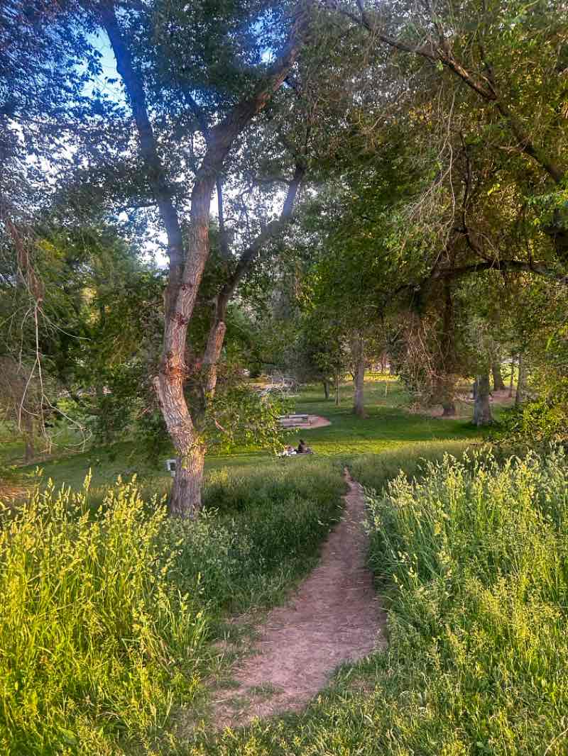 walking near me in Lindsey Gardens Park in summer