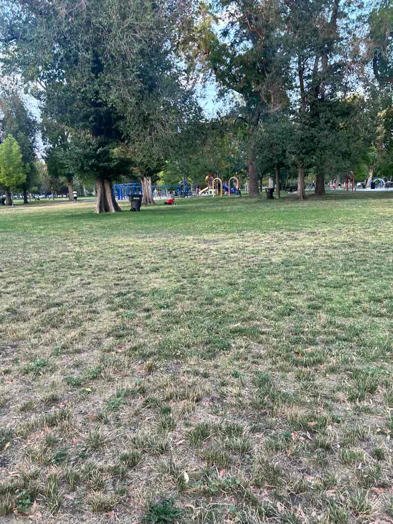 walking near me in Liberty Park in summer