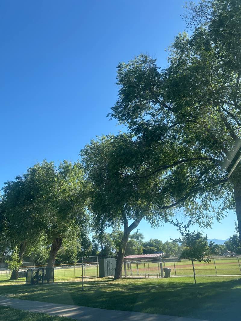 walking near me in Herman L Franks Park in summer