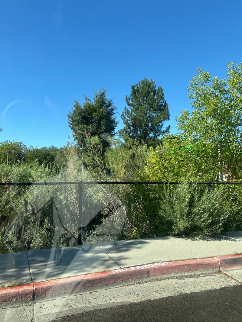walking near me in Fitts Community Park in summer
