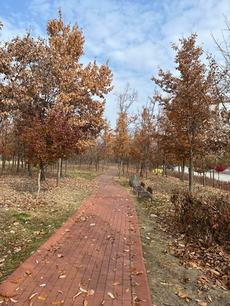 walking near me in 4호 공원 in winter