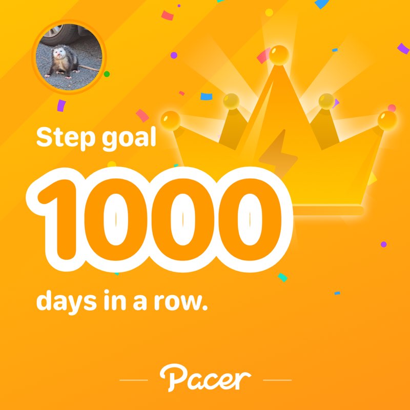 oshekkokoshek post 1