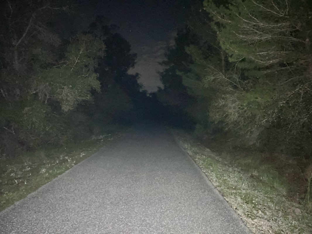 walking near me in Audubon Park in winter