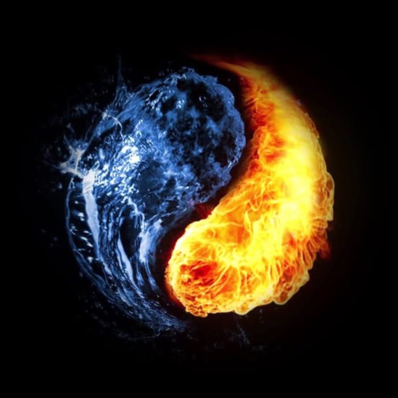 NGÔ HOÀNG LONG profile