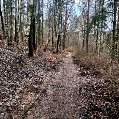 Kroki z dolnośląskiego Kasia Ant post image