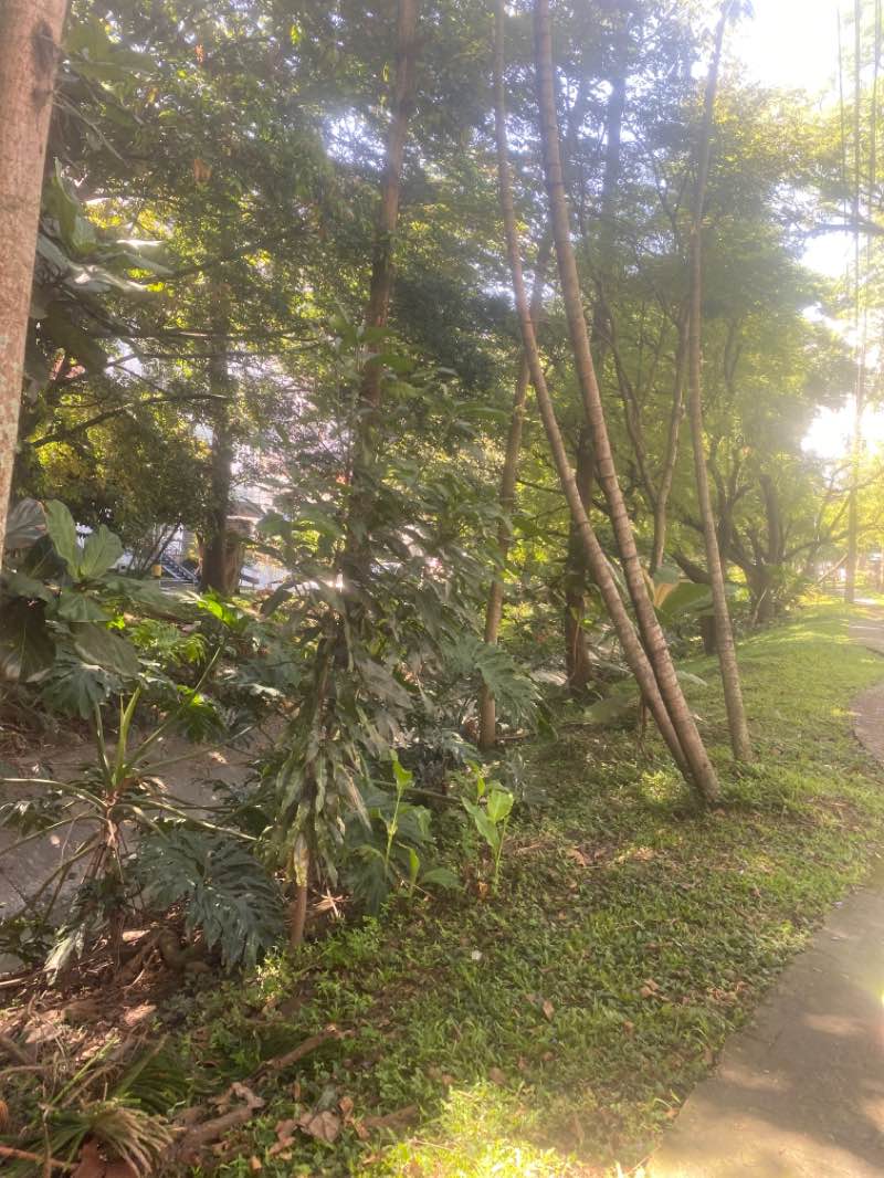 walking near me in Parques del Rio Etapa 2 in winter