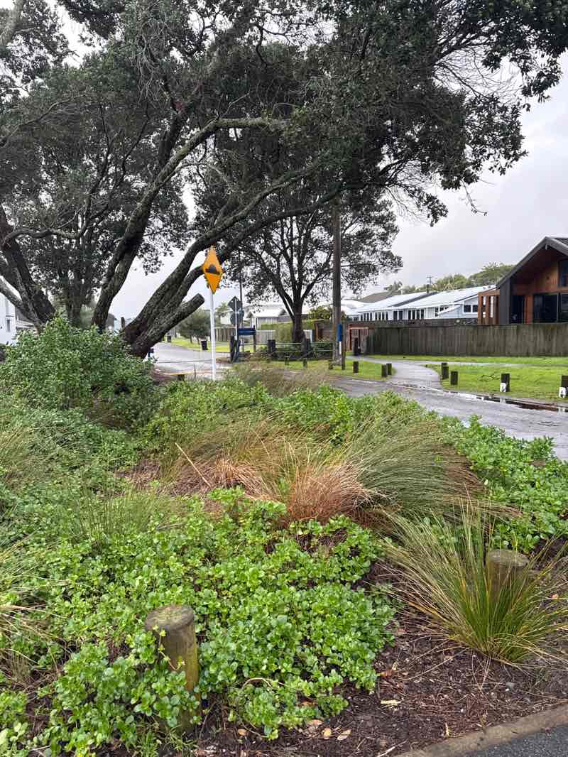walking near me in Kulim Park in winter