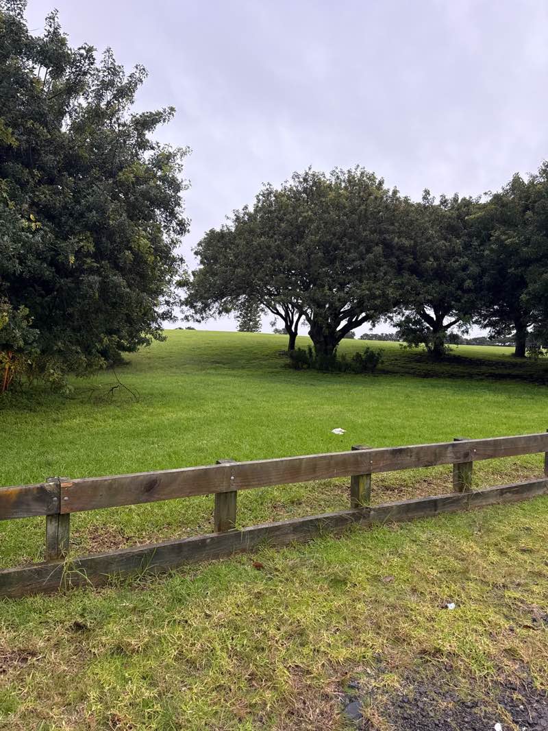walking near me in Marine Park in winter