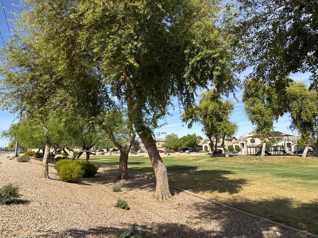 walking near me in HOA Park / Retention Basin in spring