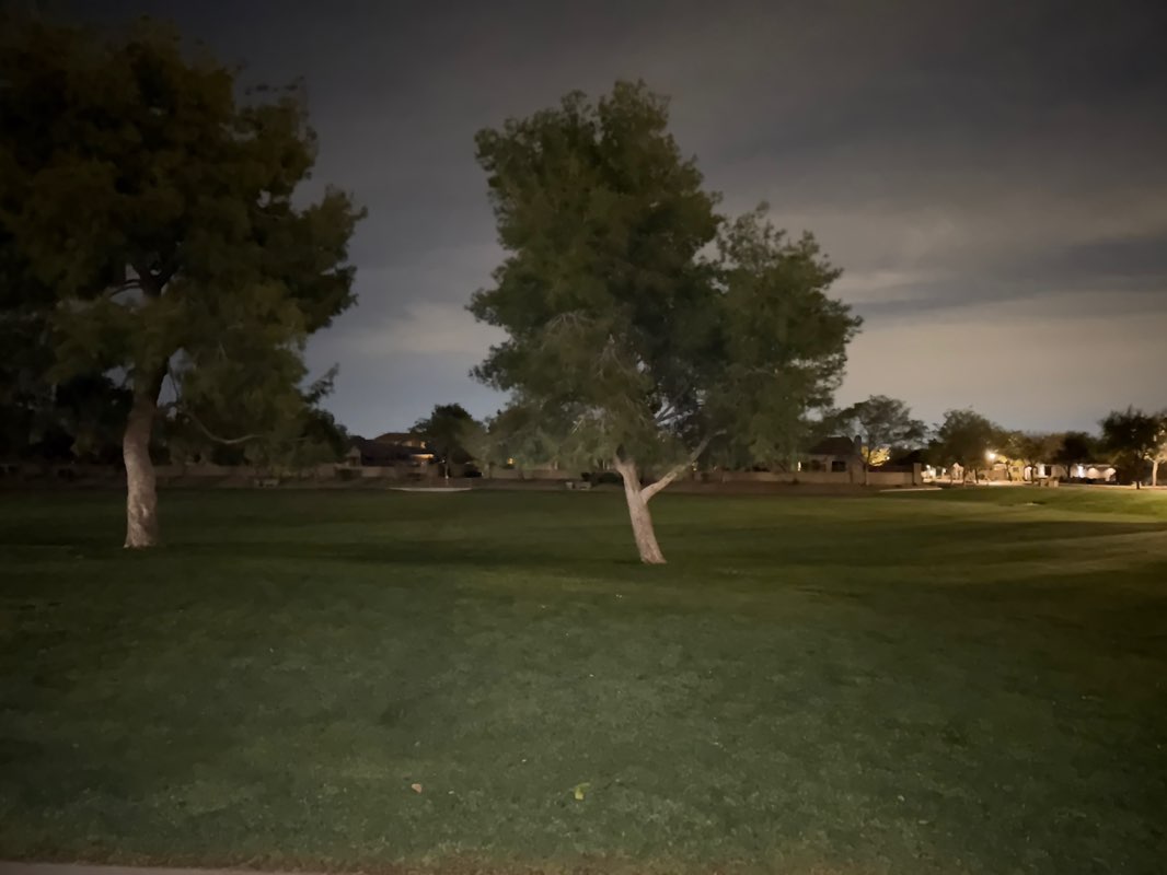 walking near me in Allepo Park in spring