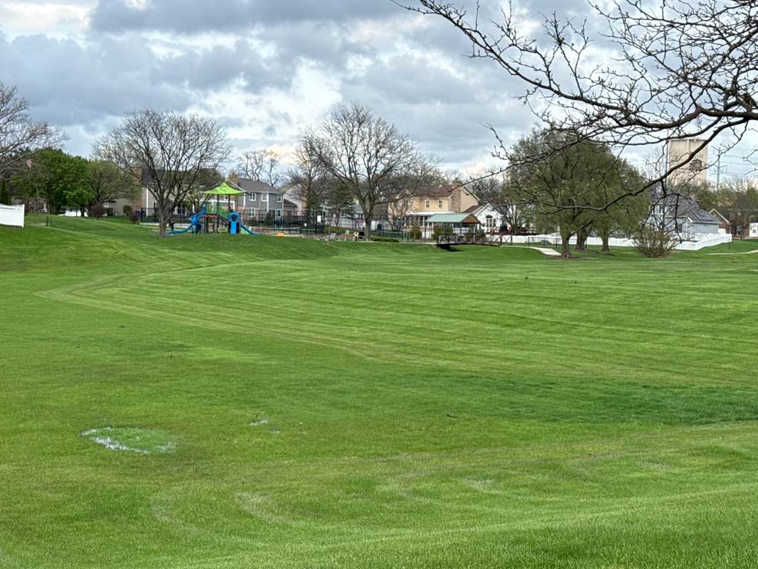 walking near me in Arbor View Park in spring