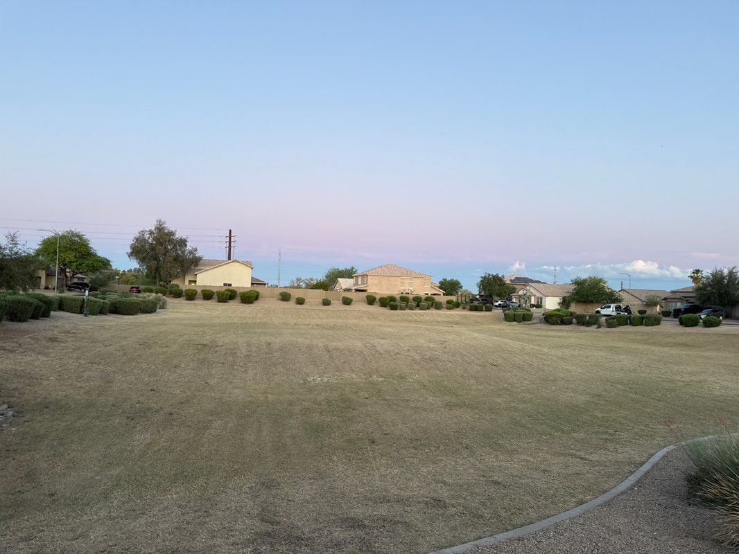 walking near me in Cottonflower HOA Green Belt in spring