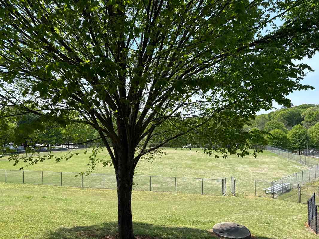 walking near me in Rocksprings Park in spring