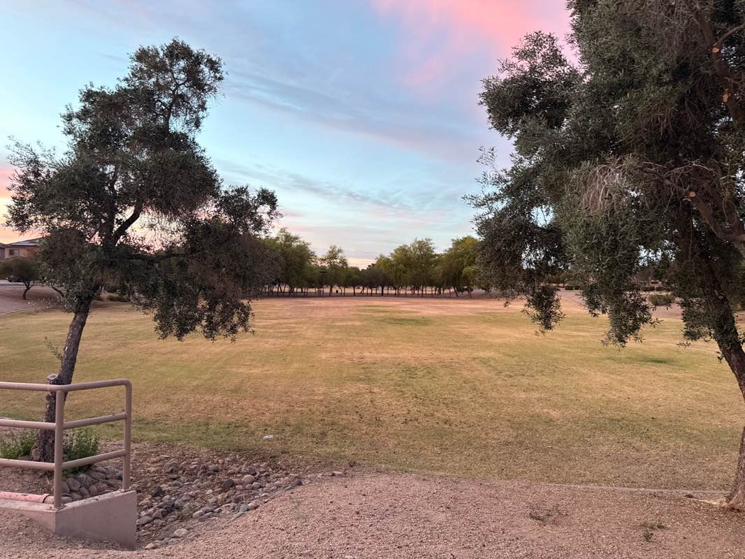 walking near me in Cottonflower HOA Park in spring
