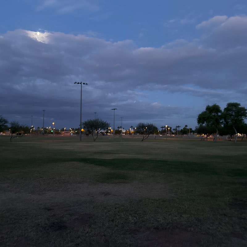 Phoenix Rising post 1