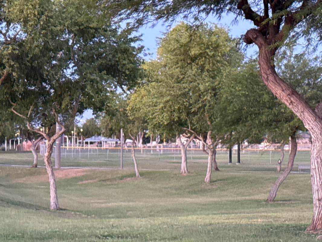 walking near me in Goodyear Community Park in summer