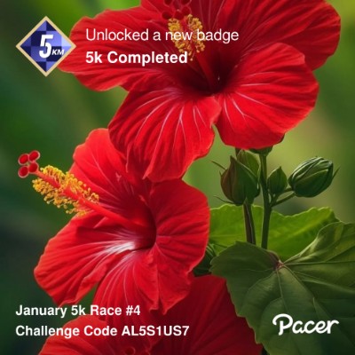 December 5k Race #2 🇧🇧 Prankster 🇧🇧 post image