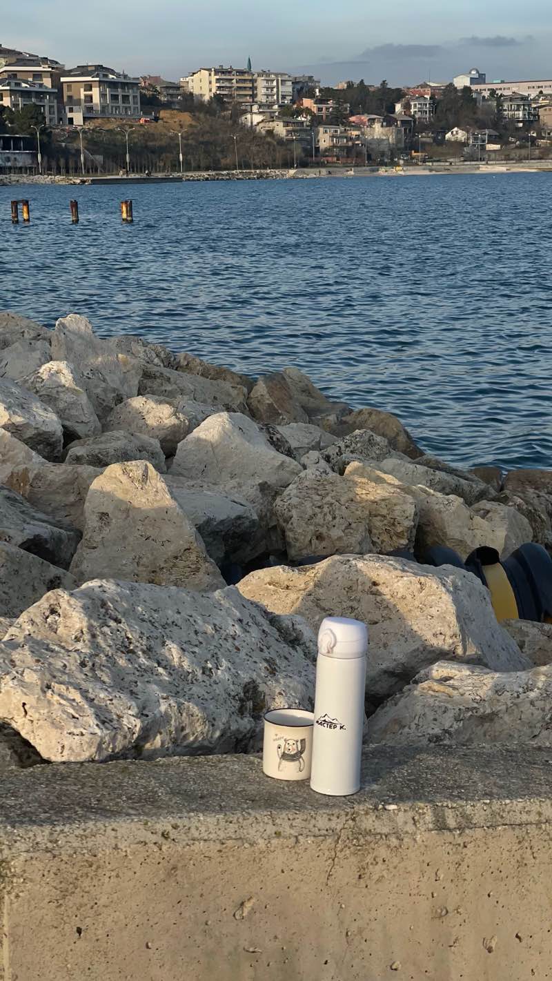 walking near me in Mimaroba Atatürk Parkı in winter