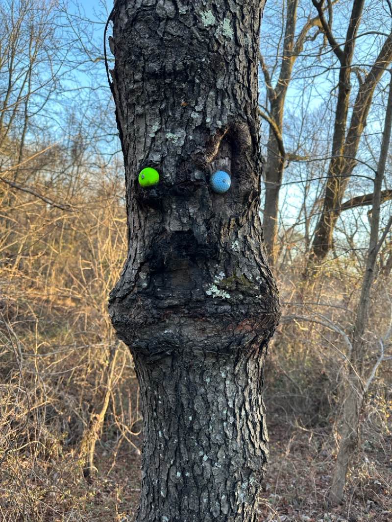walking near me in Laurel Hill Park in winter