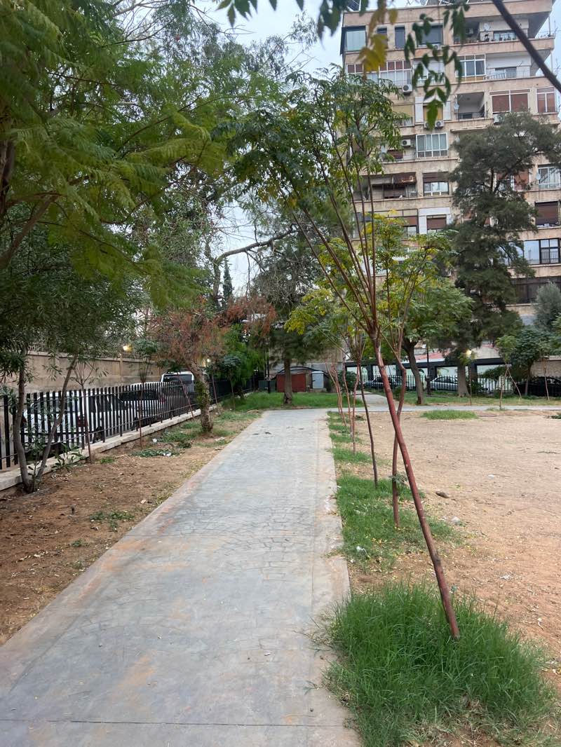 walking near me in French Park in autumn