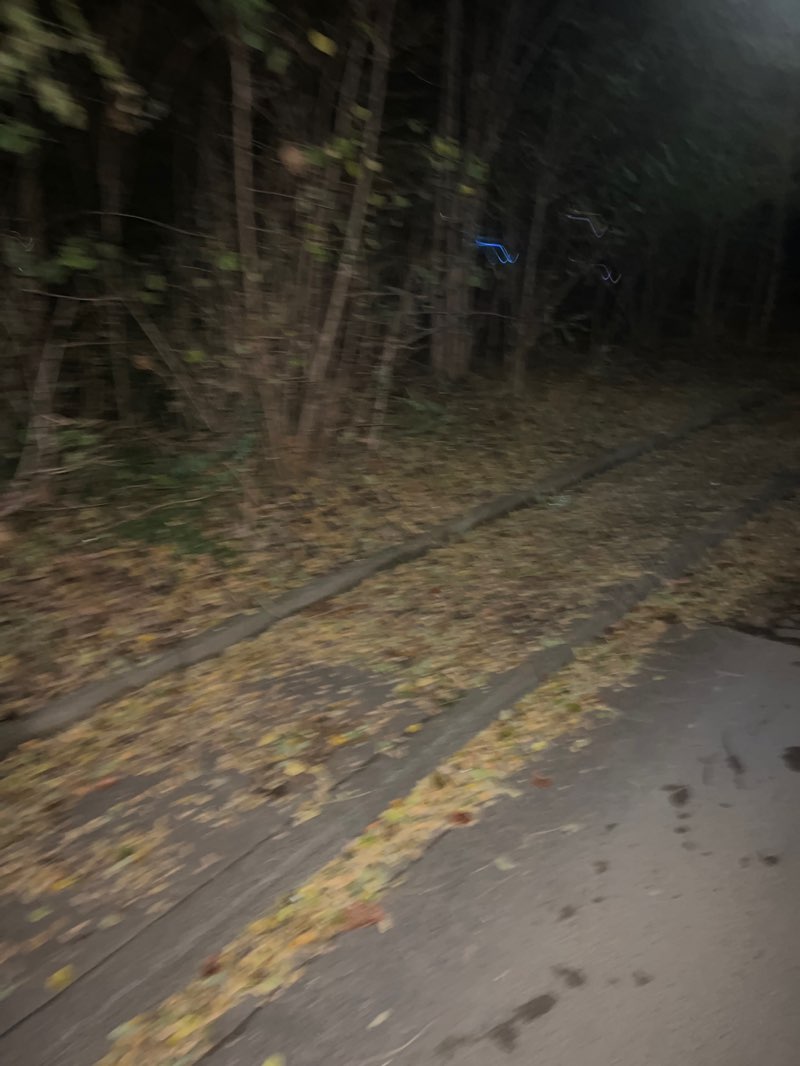 walking near me in Langobardenplatz in autumn