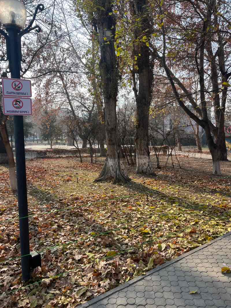 walking near me in Circular Park in winter