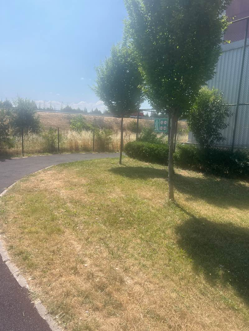 walking near me in Gorukle Sport Park in summer