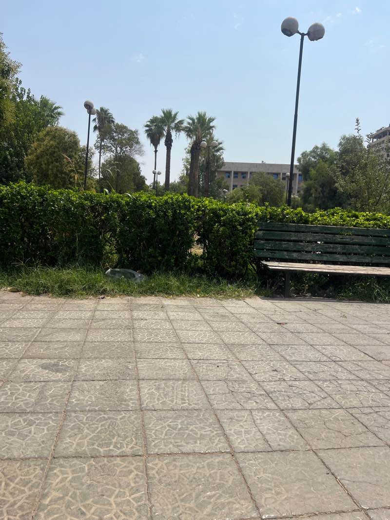 walking near me in Gamal Abdel Nasser Park in autumn