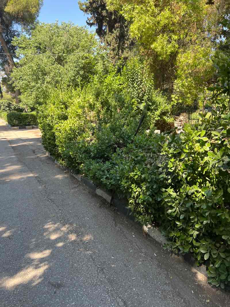 walking near me in Public Park in summer