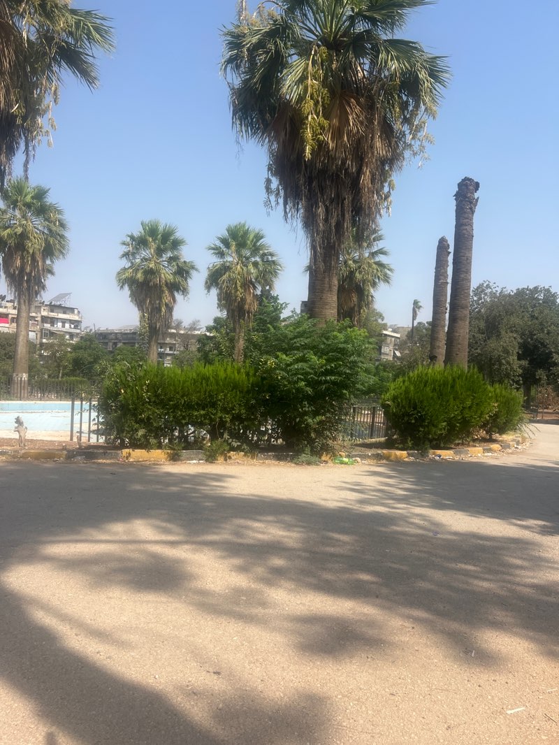 walking near me in Maysaloun Park in autumn