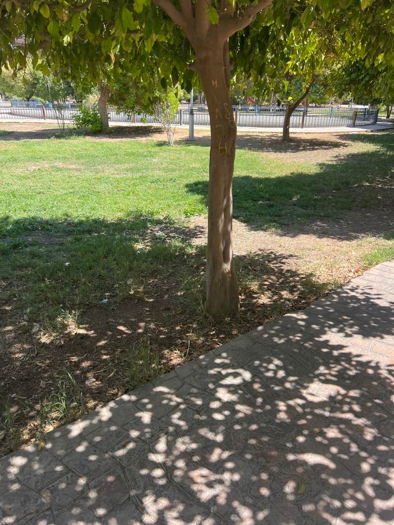 walking near me in Peace Garden in autumn