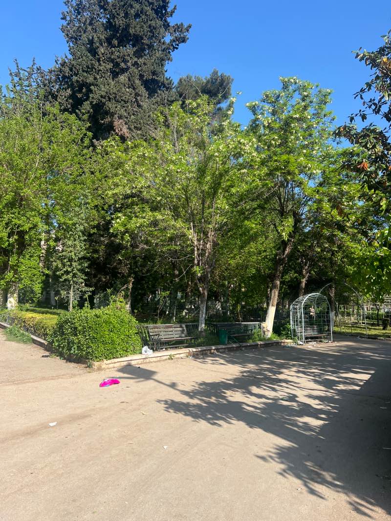 walking near me in Sabeel Public Park in spring